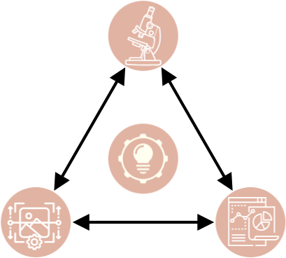 Consulting triangle